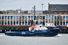 SD Rebel_28-10-23_Rotterdam