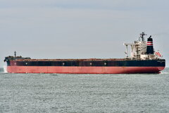 Frontier Jacaranda_01-07-23_Rotterdam_3