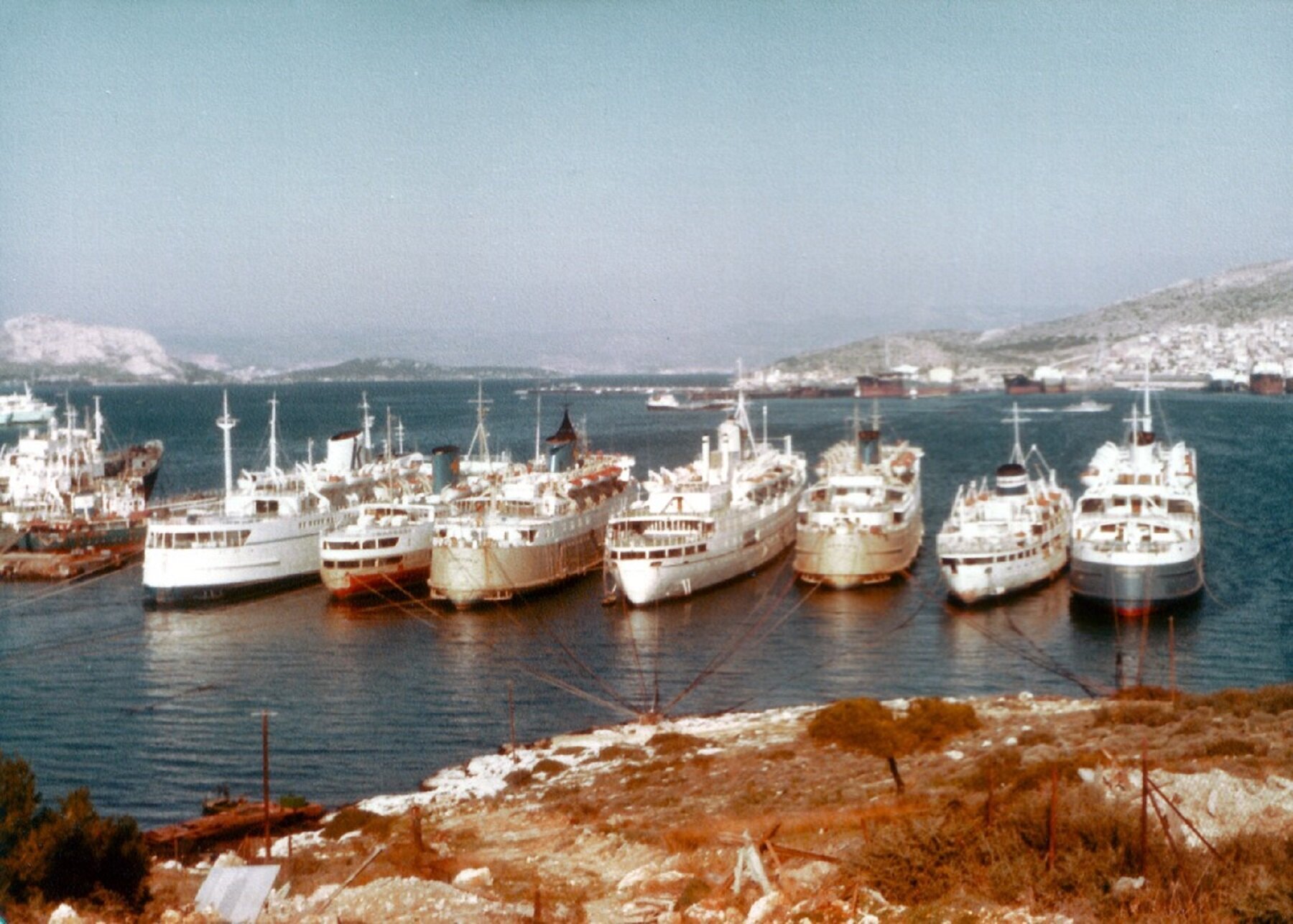 Kynosoura