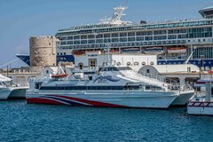 Ibiscus at Rhodes