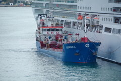 Georgia G