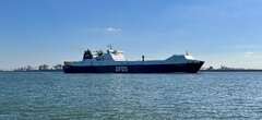 Selandia Seaways Rotterdam Oct 2024
