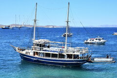 Albatros_15-09-24_Mykonos