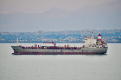 PVT Estella_11-05-24_Palermo