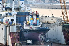 Tugs in Italy