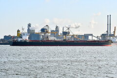 Corato_22-06-24_Ijmuiden