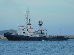 Apollon (IMO 7431806)