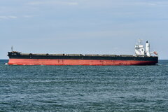 Jal Tara_01-07-24_Rotterdam_4