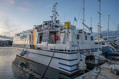 Sea Star Rhodes