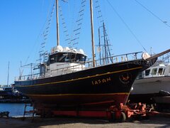 IASON (Syros 01-2-2025)