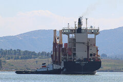 MSC Lena F - Volos - 14/4/24