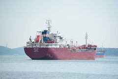 Alfa Sea