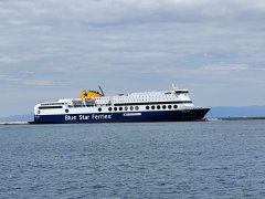 Blue Star 1