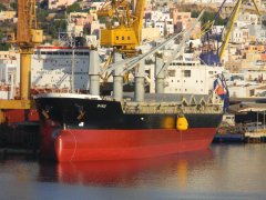 DINO (Syros 27-9-2019)