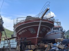 Captain Hook II
