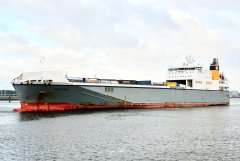 Peregrine_22-06-24_Rotterdam_3