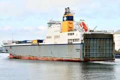 Peregrine_22-06-24_Rotterdam_7