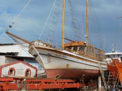 SANTA IRINI (Syros 29-4-2025)