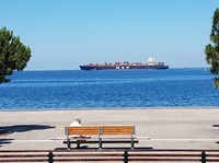 MSC Matilde @ Thesssaloniki Anchorage.jpg