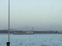 IMG_20180303_073036.JPG