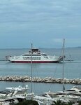 IMG_8548.JPG