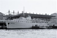 LARNACA ROSE.jpg