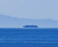 IMG_20250419_112533.jpg