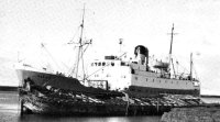 Darwin-02.jpg