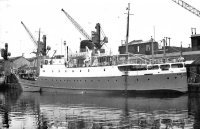 Darwin-03.jpg