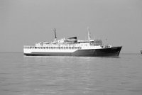 MAYORCA ROSE001.jpg