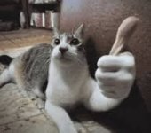 image.thumb.jpeg.5cb19648cb6dbaa2bf325351c3aa223d.jpeg